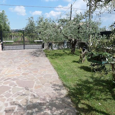 B&B Villino Lory มารีโน ภายนอก รูปภาพ