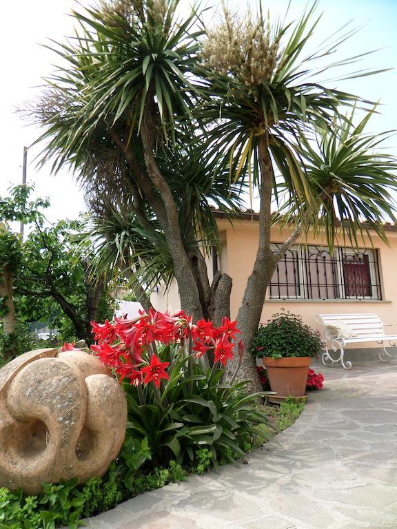 B&B Villino Lory มารีโน ห้อง รูปภาพ