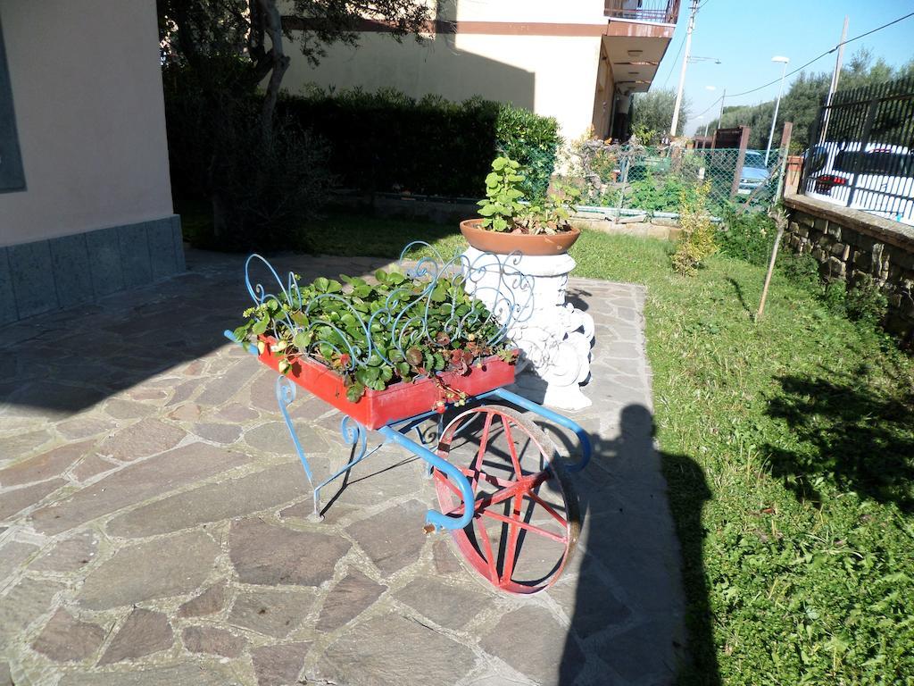 B&B Villino Lory มารีโน ภายนอก รูปภาพ